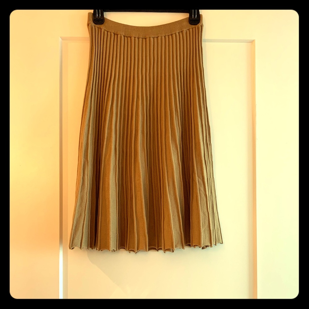 NY Charisma Pleated Skirt by Wolf and Badger